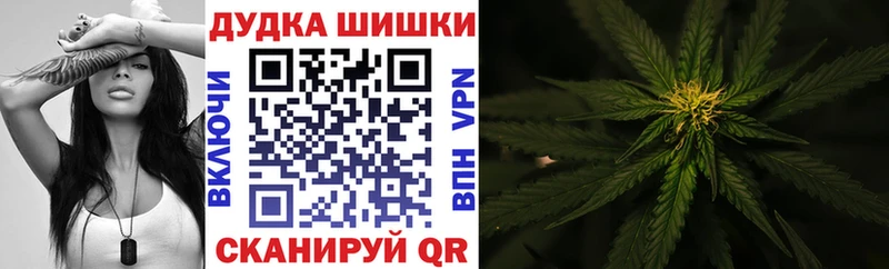 Бошки марихуана Bruce Banner  Купить  Лобня 